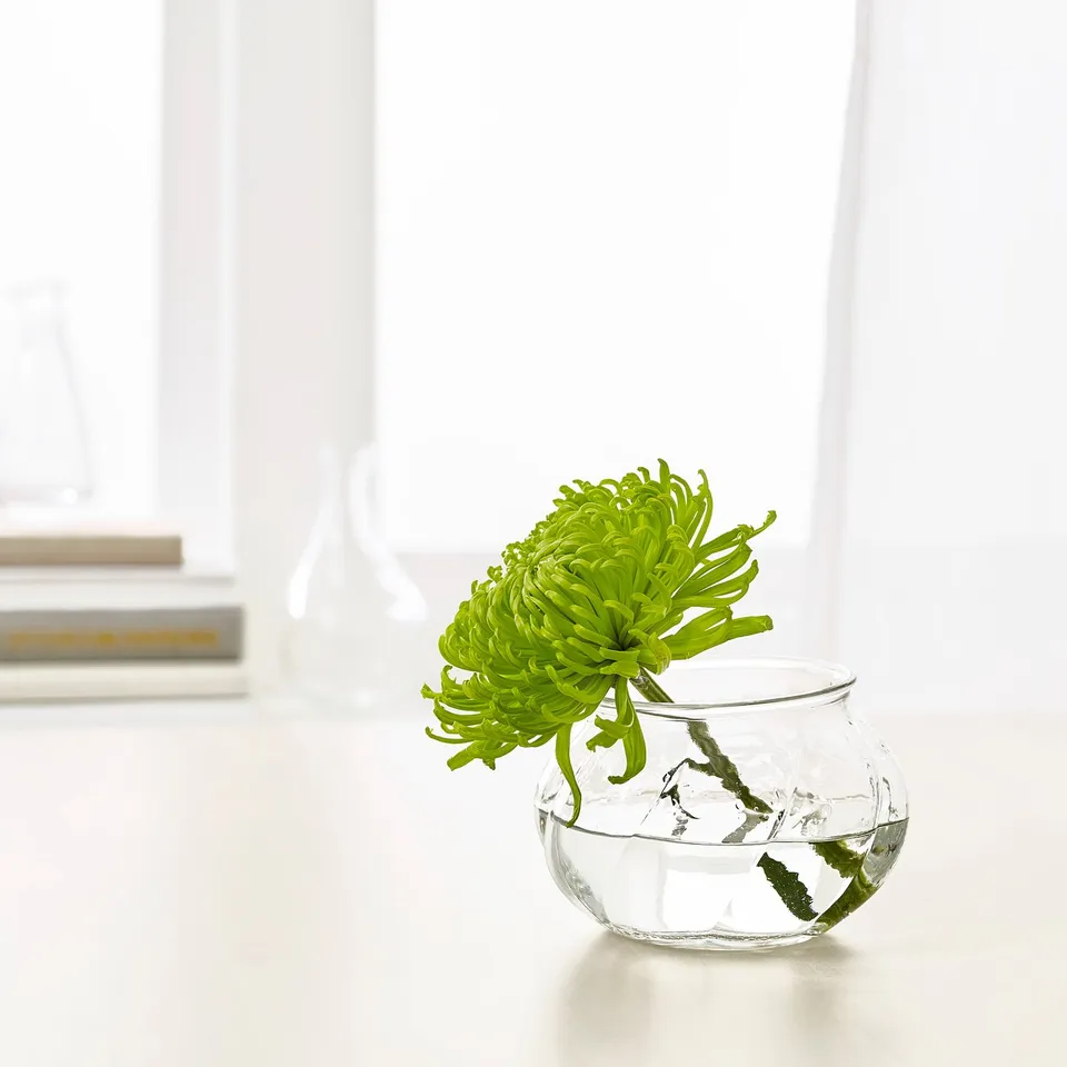 part: VILJESTARK vase