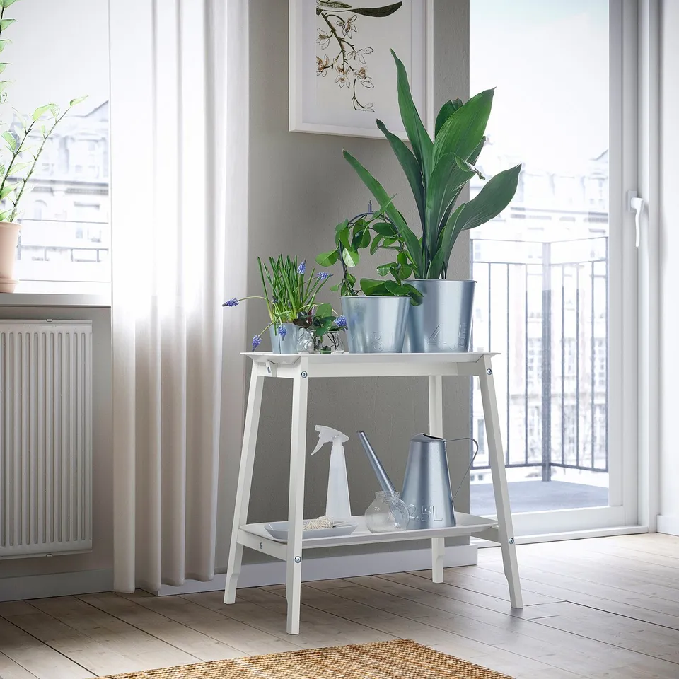 ALPVIDE in a room