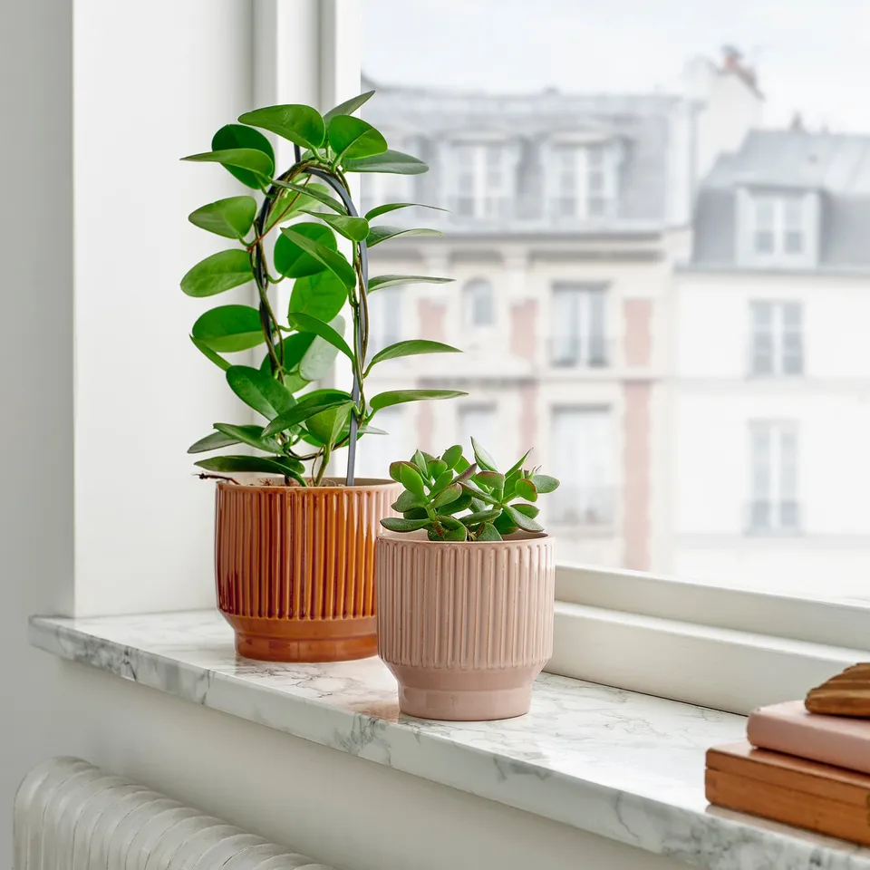 part: HONUNGSPALM plant pot