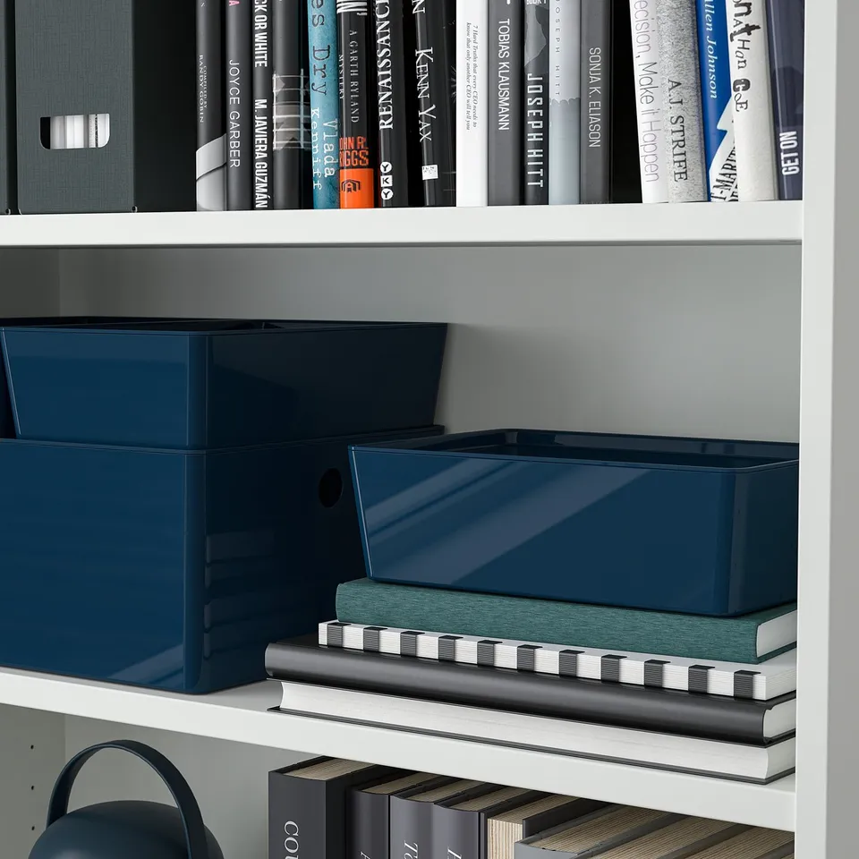 Bookshelf with KUGGIS storage boxes, holding books and organising small items.