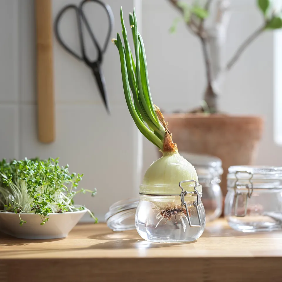 part: KORKEN jar with lid