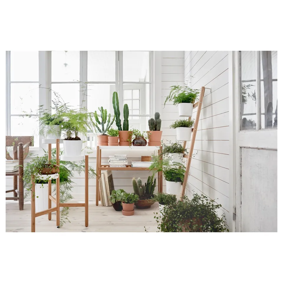 part: SATSUMAS plant stand