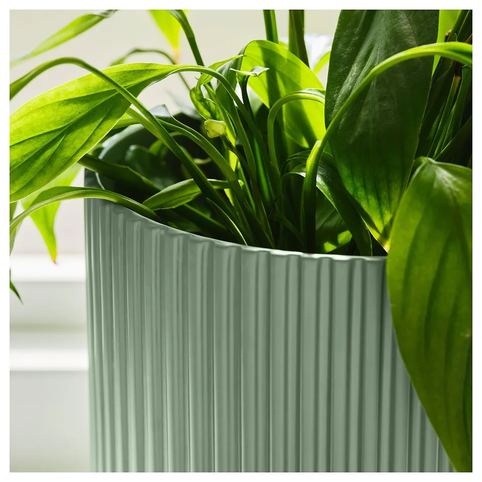 Ribbed vase with foliage.