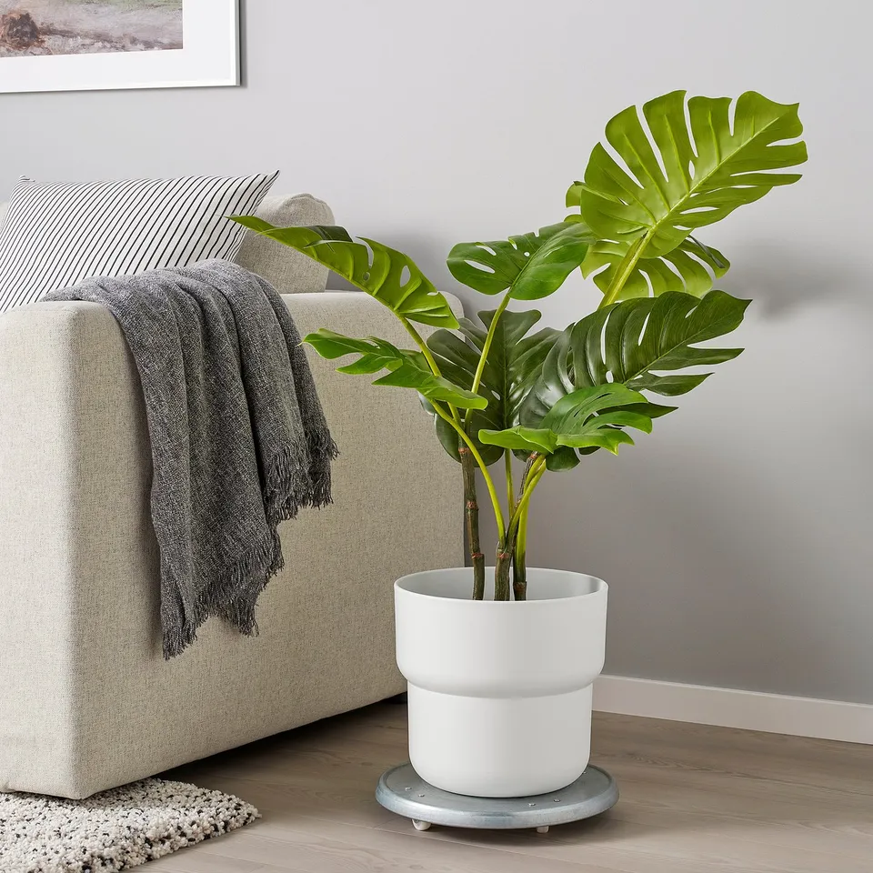 Modern living room with large white plant, green plant, grey tray, beige couch, black blanket.