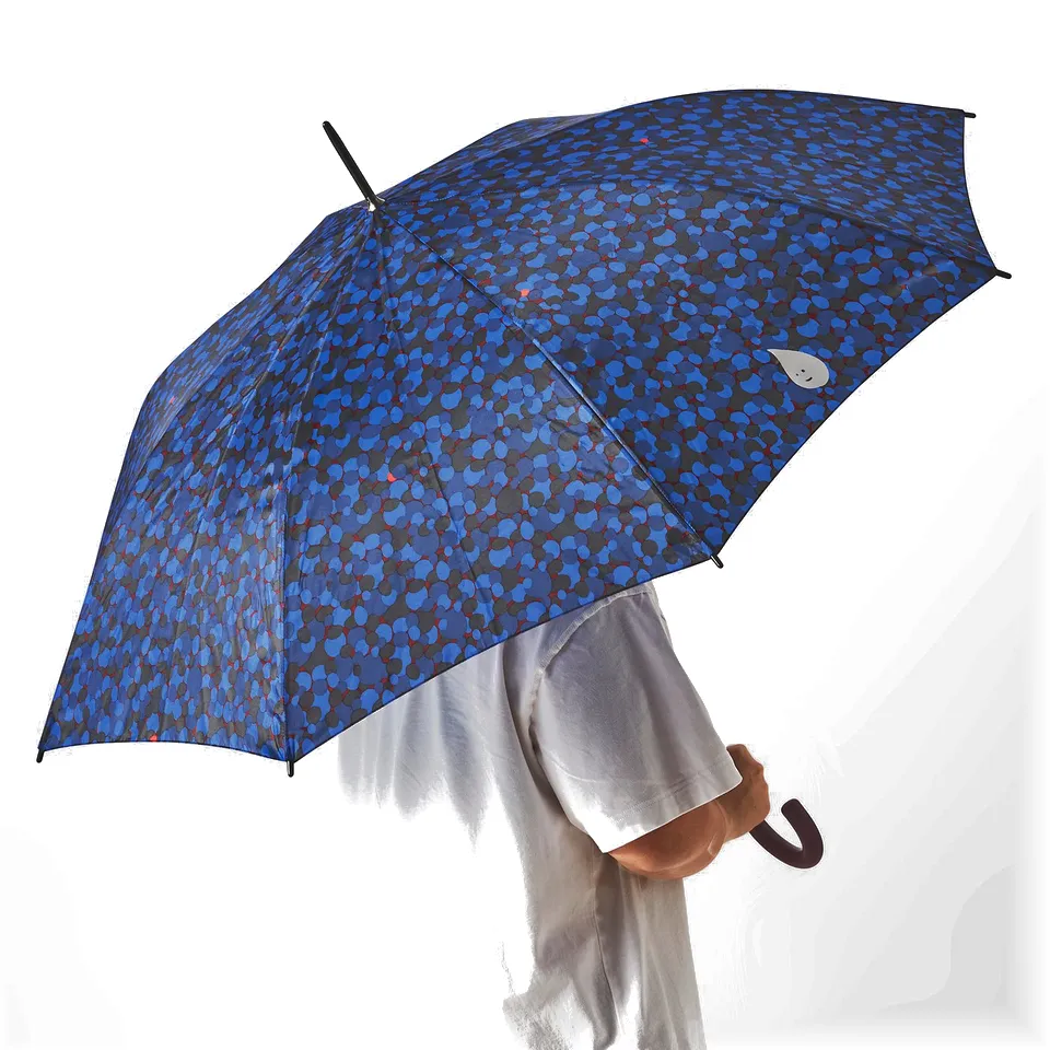 Person holding blue patterned umbrella with black handle and white button.