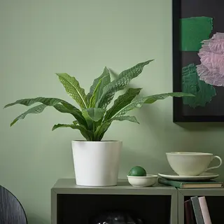 FEJKA/SOJABÖNA set: artificial potted plant + plant pot, in/outdoor Crocodile fern + white, 12 cm