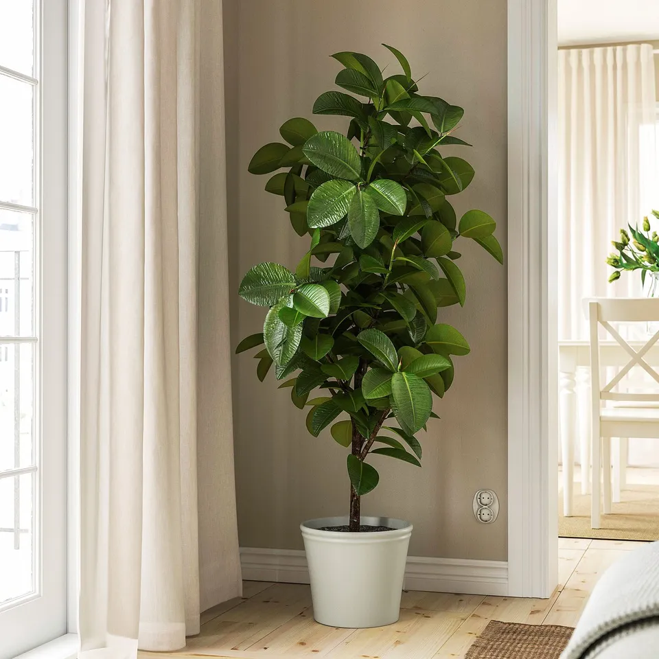 part: KÖRSBÄRSBJÖRK plant pot