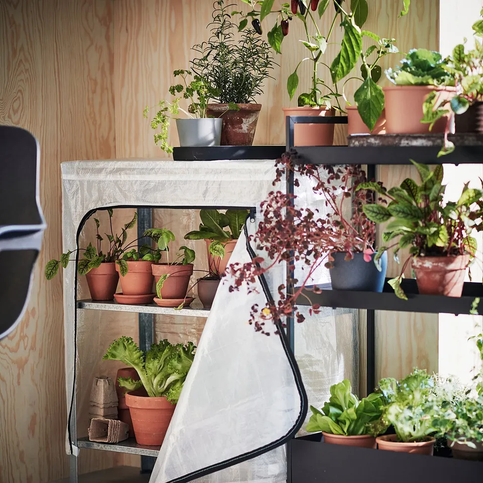 Indoor plant shelf unit with white covers. Holds various potted plants on three-tiered shelves.