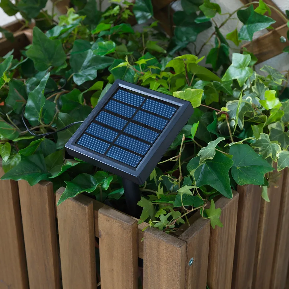 Wooden fence with greenery, featuring a solar panel for charging outdoor lights.