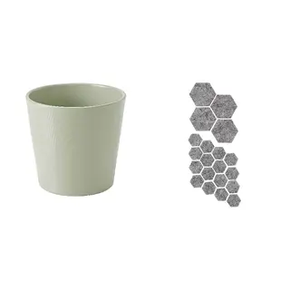 BROKSPIREA/TRIXIG