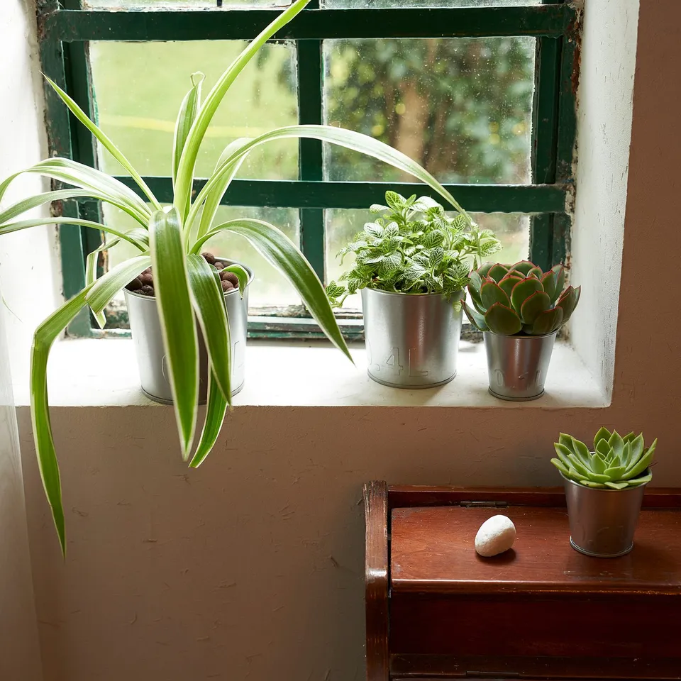 part: ÅKERBÄR plant pot