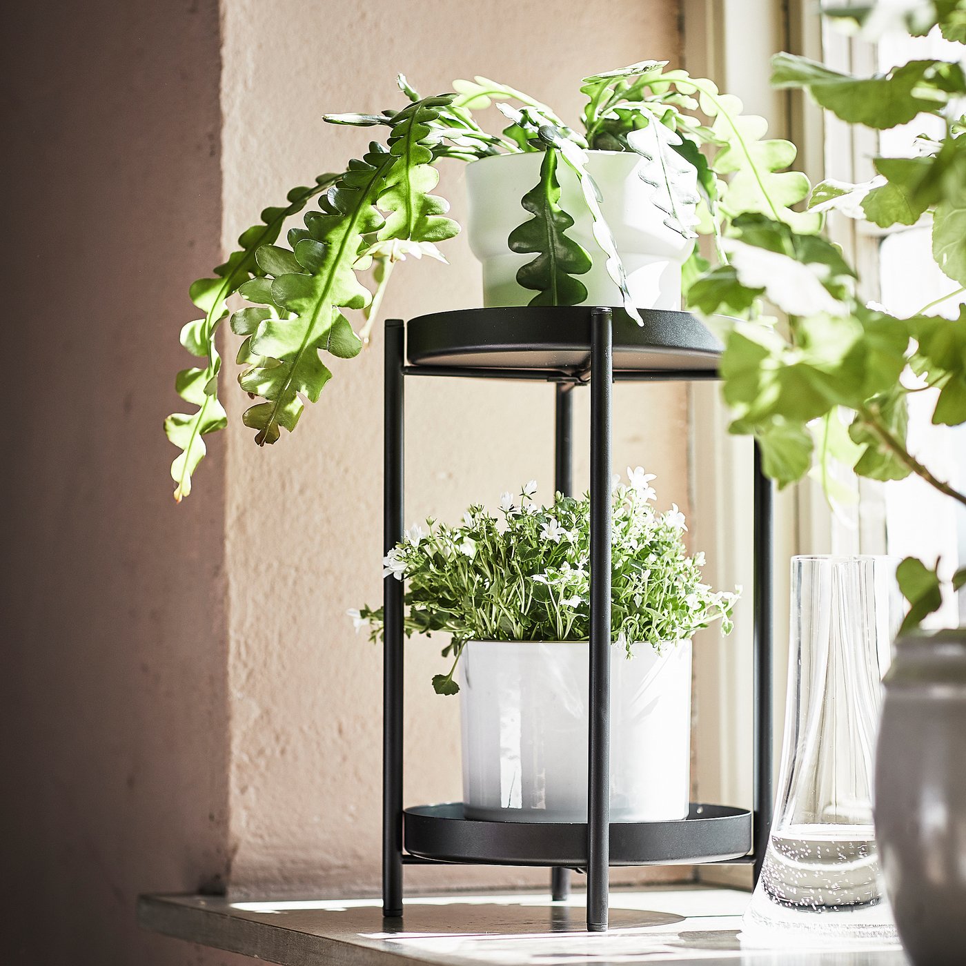 Black metal plant stand with two shelves, displaying green leafy plants in white pots. Clear glass vase nearby.