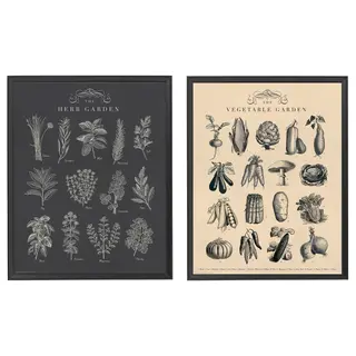 KNOPPÄNG frame with poster, garden, Width 40 x Height 50 cm