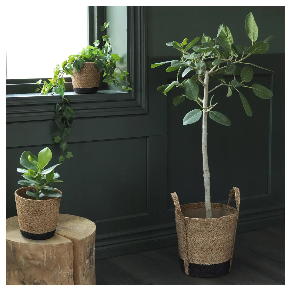 Three green plants in woven brown and black pots; one on a log stool, one on a shelf, one on the floor against a dark green wall.