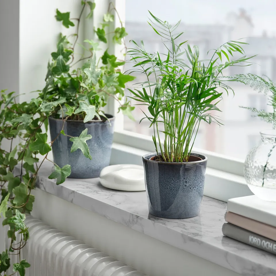 Two potted plants on window: palm, book, vase; cascading greenery.