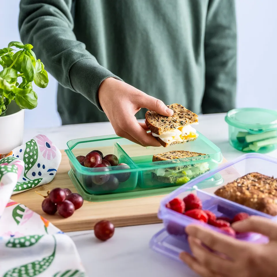 A person holds a sandwich from a green lunchbox with grapes and another container with raspberries beside.