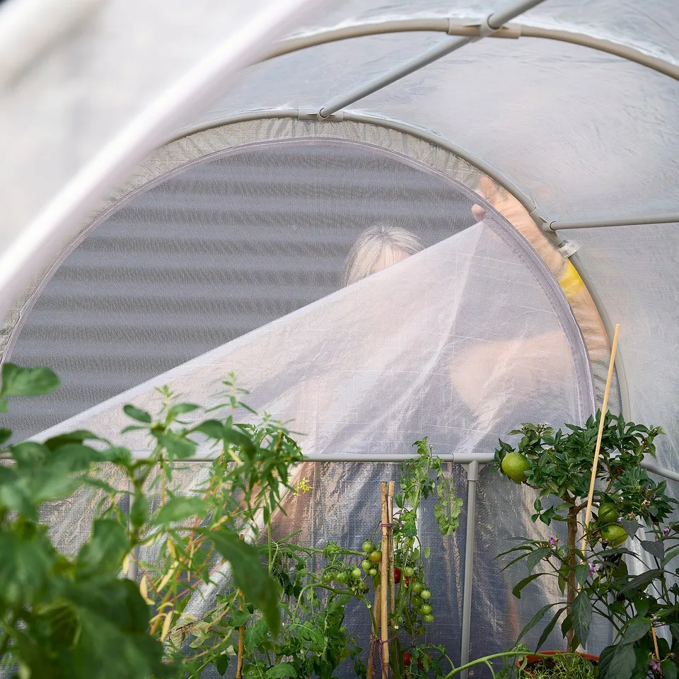 Greenhouse with semi-transparent cover, white, round shape, showing tomatoes and foliage, supported by metal tubes.
