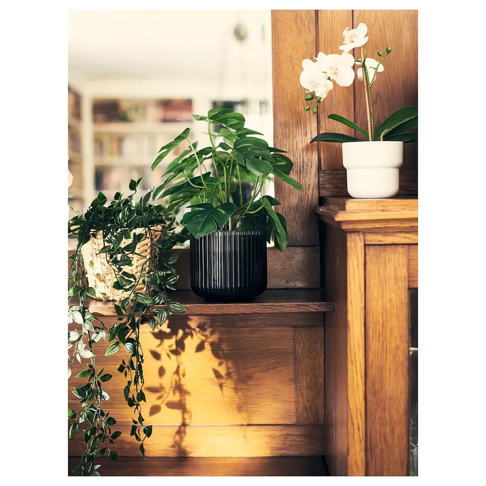 FEJKA Artificial potted plant, in/outdoor Monstera, 12 cm