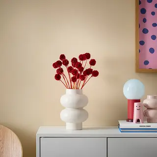 PÄRLHÄGG/TORKA set: dried parts of flowers/plants + vase, bunch/scabiosa red + beige, Height 40 cm