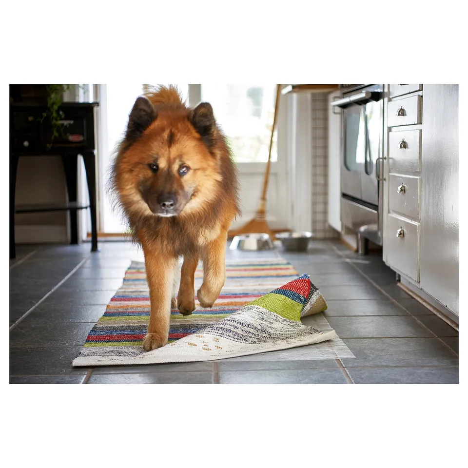 Large orange dog walking on multicoloured striped rug near white refrigerator.