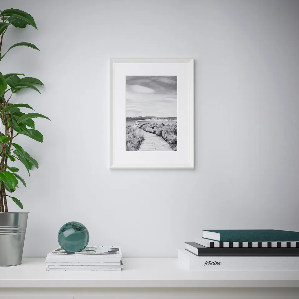 Minimalist room with KNOPPÄNG frame, plant, books, magazines.
