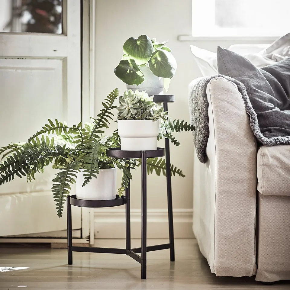 Modern black plant stand with three white pots, various green plants. Next to a grey cushioned couch.