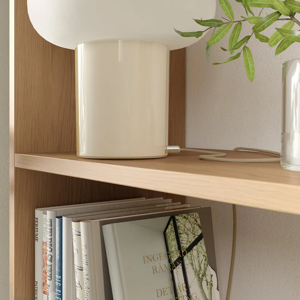 Light wooden shelf with a white cylindrical object and green plant, holding books.