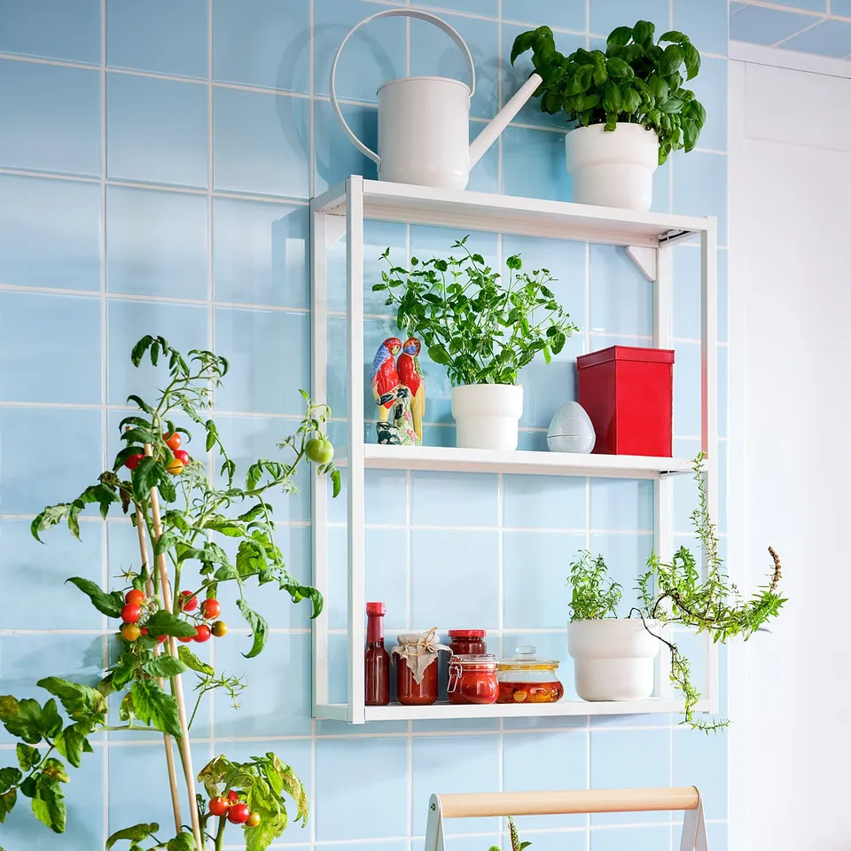 Cosy kitchen corner with blue walls, potted herbs, and storage. Or blue-tiled kitchen corner with herbs and storage.