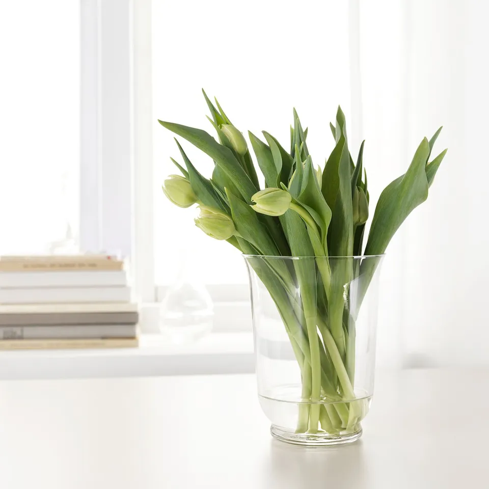 Bouquet of green tulips in a clear glass vase on a table.