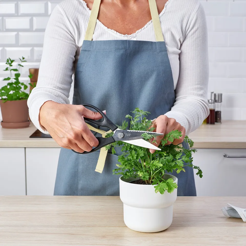 A person uses SVARTFISK kitchen scissors to cut herbs on a counter. The scissors efficiently trim green leafy plants in a potted white planter.
