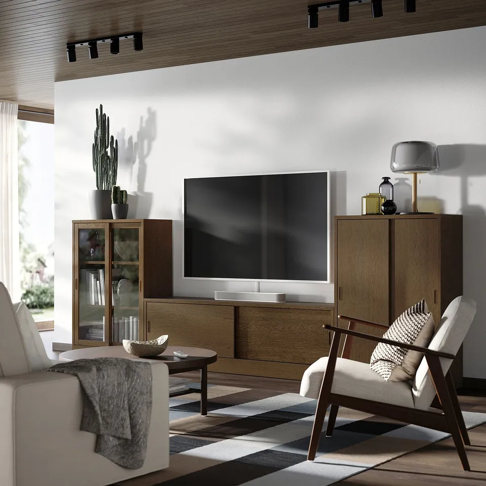 Modern living room with tv, shelves, cactus, sofa, & rug.