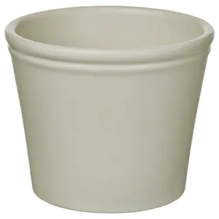 KÖRSBÄRSBJÖRK