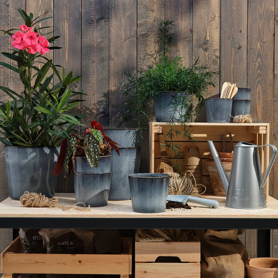 Rustic shelf with blue FJÄRILSBUSKE pots, plants, and garden tools.