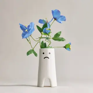FRÖVÄXT/SMYCKA