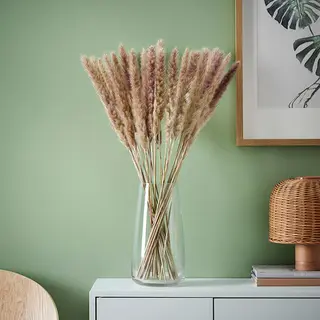 BERÄKNA/TORKA set: dried plants + vase, bunch/reed + clear glass, Height 70 cm