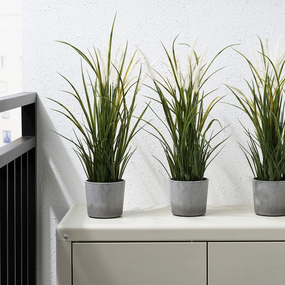 Three potted plants on shelf, grey concrete pots with soft pads underneath.