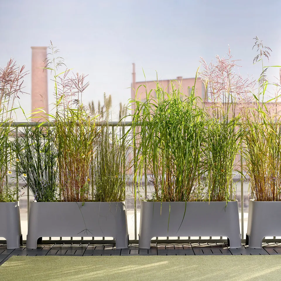 ASPAREN in a room