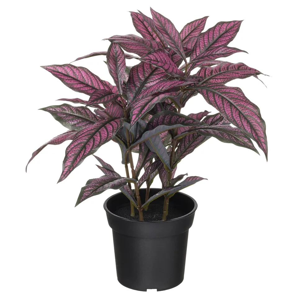 FEJKA plant, vibrant pink and purple leaves, potted in black container, realistic yet artificial.