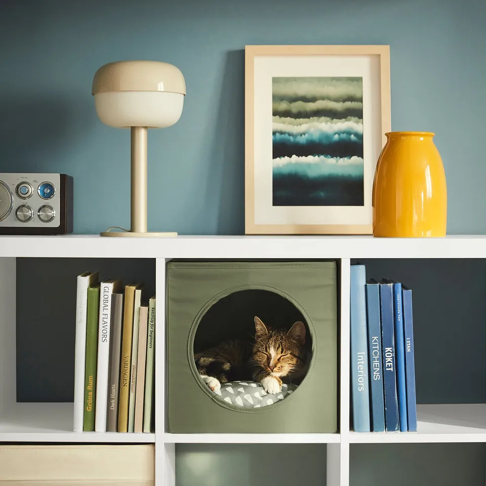 White shelf holds books and a cat bed with a cat inside. A yellow vase, framed art, and lamp are also displayed.
