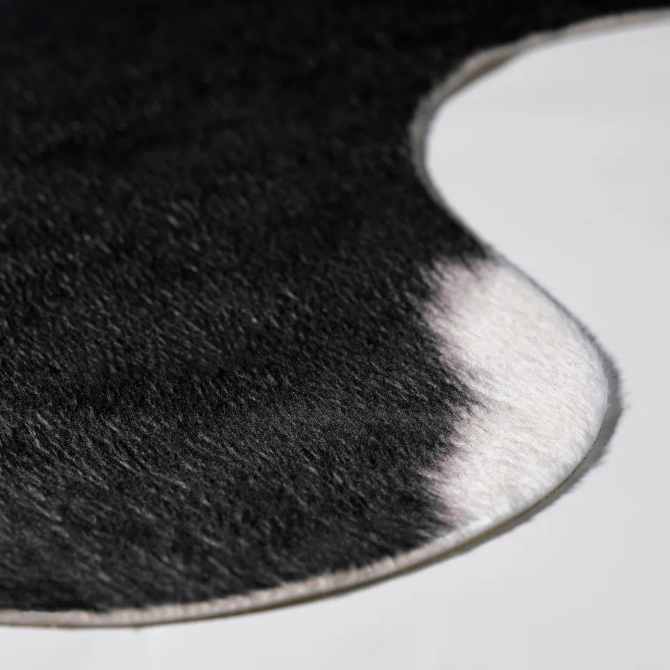 MAXTAXA, photo 4