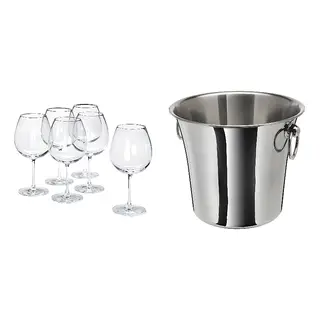 SOLDRÄNKT/STORSINT set: red wine glass + wine cooler, clear glass + stainless steel, 67 cl