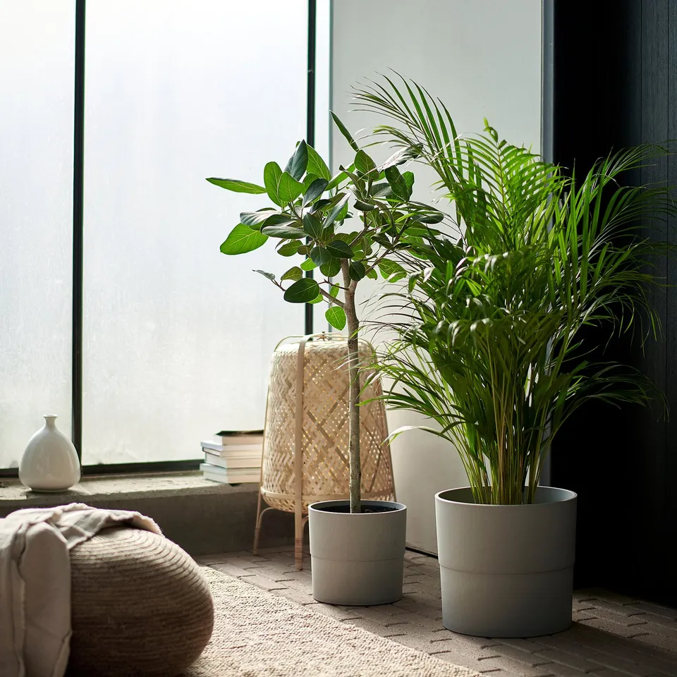 part: NYPON plant pot
