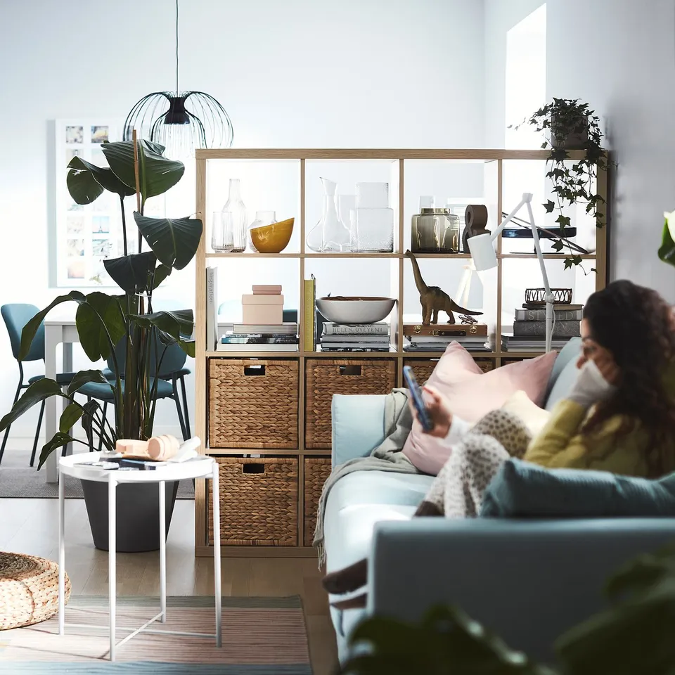 Cosy living room with blue KALLAX shelf, plant, and person using phone.