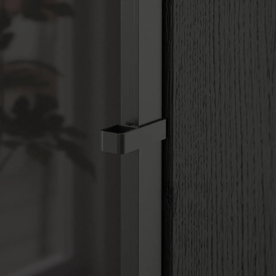 Modern black HÖGBO glass door with sleek handle, fitting perfectly onto a billy bookcase. High-quality materials, precise hinges.