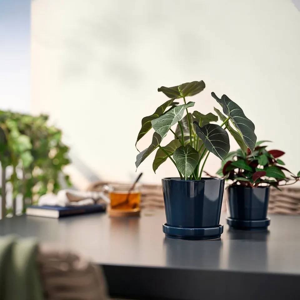 Two small dark blue FEJKA artificial plants sit on a table, surrounded by minimal decor.