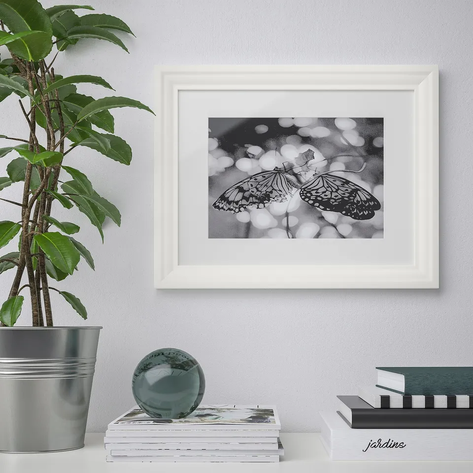 Black and white butterflies, books, plant, and sphere on wall.