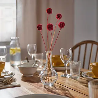 TORKA/VILJESTARK set: dried parts of flowers/plants + vase, bunch/scabiosa red + clear glass, Height 40 cm