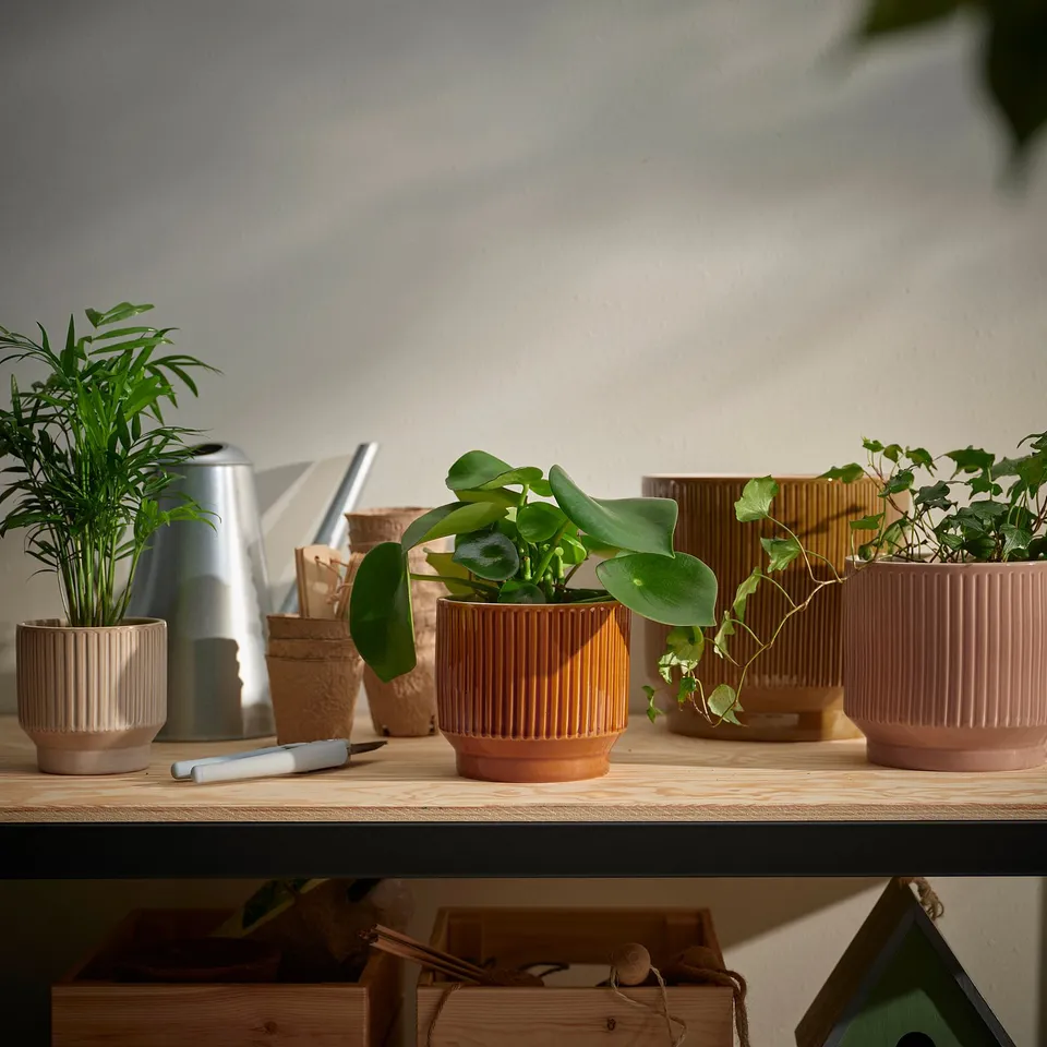 part: HONUNGSPALM plant pot