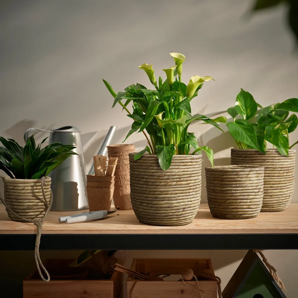 SANDÖDLA plant pots in natural beige with green plants on a wooden shelf, including a silver watering can and cork pots.
