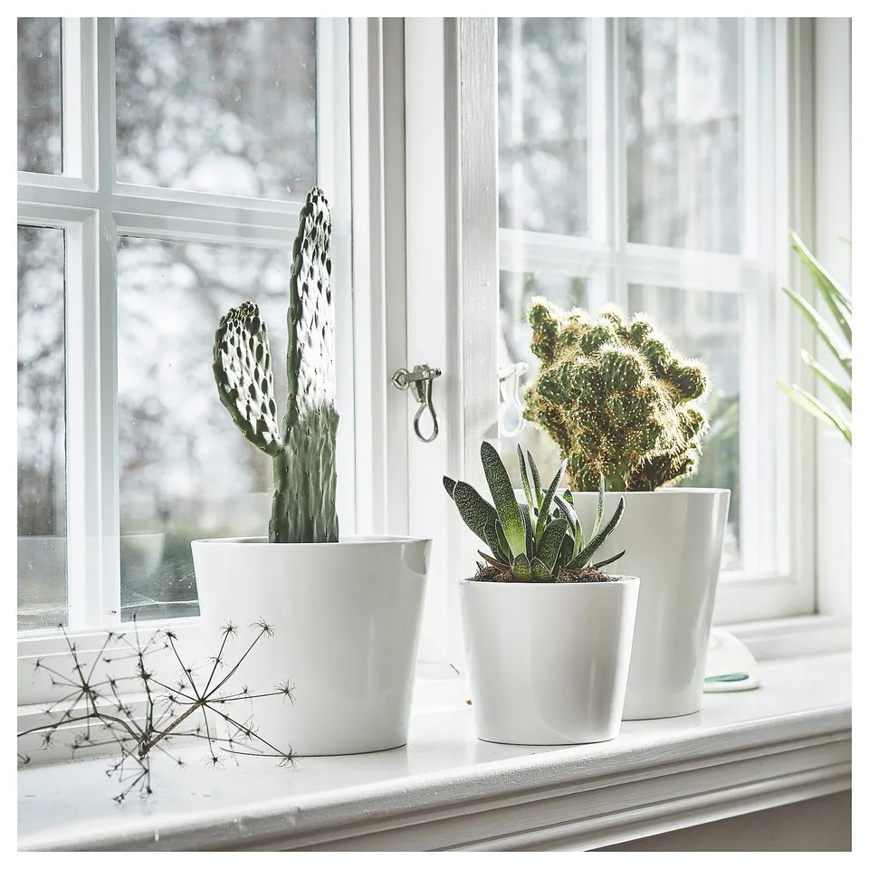part: SOJABÖNA plant pot